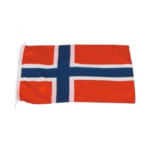 Gjesteflagg Norge 30 x 19cm